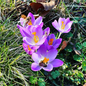 Uitzicht natuurlijk vergaderen traininglocatie rustgevend inspirerend